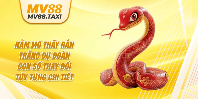 Nằm mơ thấy rắn trắng dự đoán con số thay đổi tùy từng chi tiết